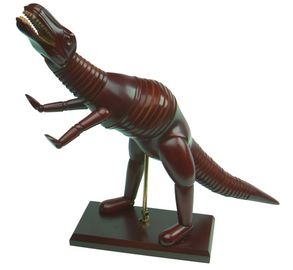 Material chino del enebro del modelo de madera animal del artista del dinosaurio/del maniquí de Diplodoucus